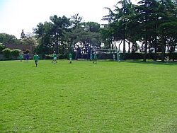 Clicca qui !